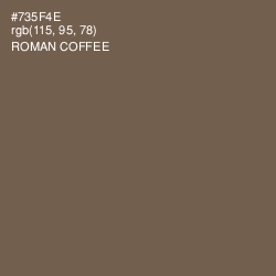 #735F4E - Roman Coffee Color Image